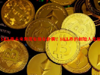 SKL币未来到底有没有价值？SKL币的创始人是谁？