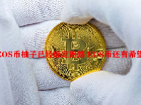 EOS币柚子已经确定跑路 EOS币还有希望吗？