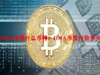IDIA币是什么币种？IDIA币发行价多少？