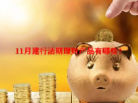 11月建行活期理财产品有哪些？