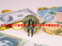 MINA币发行量是多少？MINA币未来前景如何？
