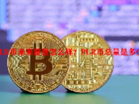 PLR币未来前景怎么样？PLR币总量是多少？
