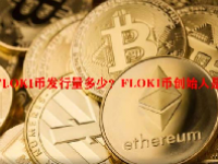 FLOKI币发行量多少？FLOKI币创始人是谁？