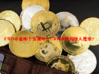 CRO币在哪个交易所？CRO币的创始人是谁？