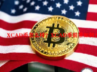 XCAD币怎么样？XCAD币前景如何？