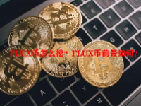 FLUX币怎么挖？FLUX币前景如何？