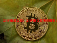 XHV币怎么挖？XHV币交易所有哪些？