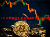维卡币国家通过了 维卡币买红旗车是真的吗？