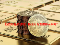 IMX币是公链吗？IMX币现在值得入手吗？