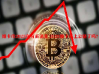 维卡币2023年有新消息 2023维卡币上公链了吗？