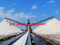 盐化工概念股一览表最新2023