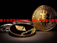 维卡币国家为啥不抓？维卡币买车套路骗局