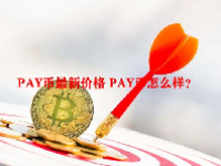 PAY币最新价格 PAY币怎么样？