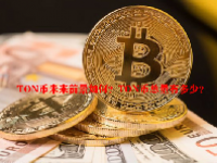 TON币未来前景如何？TON币总量有多少？