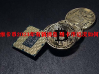 维卡币2023年有新消息 维卡币近况如何？