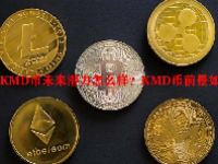 KMD币未来潜力怎么样？KMD币前景如何？