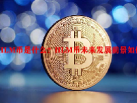 HLM币是什么？HLM币未来发展前景如何？