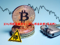 XVG币能涨到多少？XVG币会达到1美元吗？