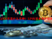 LINK币是什么币种？LINK币未来价格预测