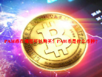 PAM币在哪里可以购买？PAM币是什么币种？