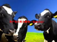 国产乳业概念股票一览表2023