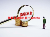 指数基金排名前十名2023