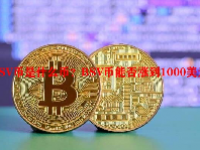 BSV币是什么币？BSV币能否涨到1000美元？