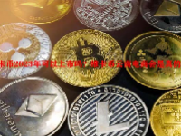 维卡币2023年可以上市吗？维卡币云南电商会是真的吗？