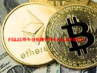 FELIX币今日价格行情 FELIX币是什么