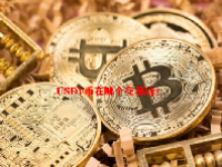 USDV币在哪个交易所？