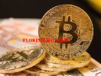 FLOKIX币是什么币种？