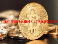 CHSB币是什么币种？CHSB币怎么买？