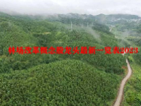 林场改革概念股龙头最新一览表2023