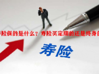寿险保的是什么？寿险买定期的还是终身的好？