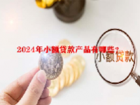 2024年小额贷款产品有哪些？