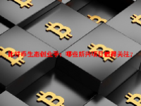 比特币生态创业季：哪些新兴项目值得关注？