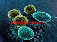 超级真菌概念股一览最新2023