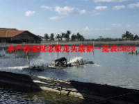 水产养殖概念股龙头最新一览表2023