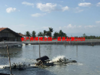 水产养殖概念股一览表最新2023