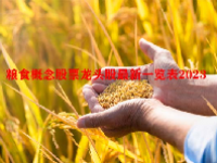 粮食概念股票龙头股最新一览表2023