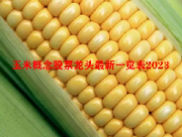 玉米概念股票龙头最新一览表2023