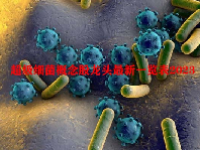 超级细菌概念股龙头最新一览表2023