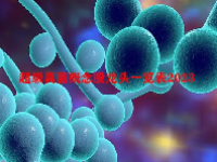 超级真菌概念股龙头一览表2023