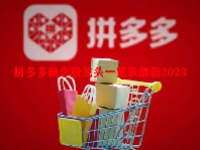 拼多多概念股龙头一览表最新2023