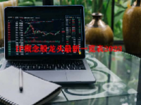 IP概念股龙头最新一览表2023