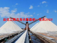 盐化工概念龙头股最新一览表2023