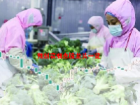 预制菜概念股龙头一览