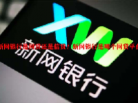新网银行是网贷还是信贷？新网银行是哪个网贷平台？