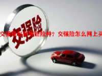 交强险包括哪些险种？交强险怎么网上买？