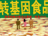 转基因概念股龙头最新一览表2023